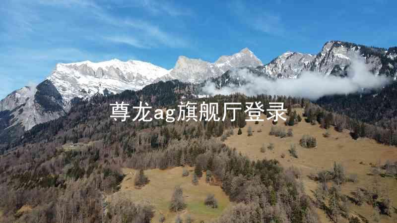 尊龙ag旗舰厅登录