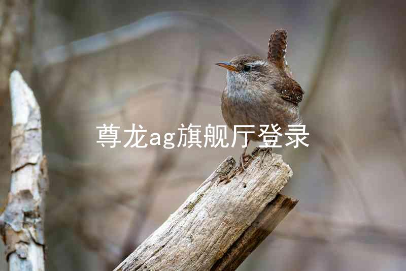 尊龙ag旗舰厅登录